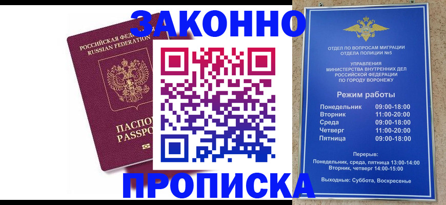 найти адрес прописки в Оленегорске